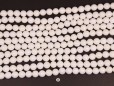 White Shell beads 10mm smooth(1)