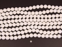 White Shell beads 12mm smooth(1)